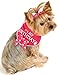 I See Spot It's My Birthday Pet Bandana Scarf in Hot Pink