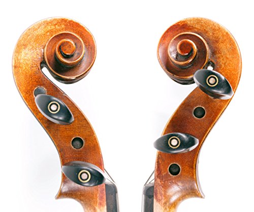 Fiddlerman Artist Violin 4/4 Outfit with Case, Bow, Rosin, Shoulder Rest