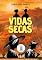 Livro Vidas Secas - Edição especial: Edição acessívem com descrição de imagens e fonte Open Dyslexic Alt