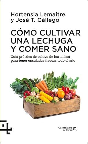 Cómo cultivar una lechuga y comer sano: Guía práctica de cultivo ...