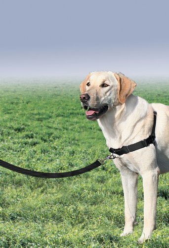 PetSafe Easy Walk Harness, Large - Image 10