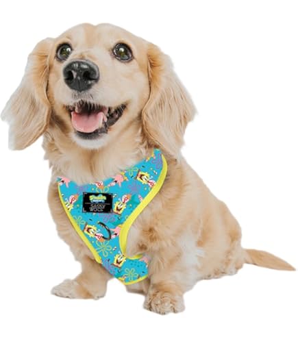 Amazon.com : Sassy Woof Dog Adjustable Harness - Scooby-Doo