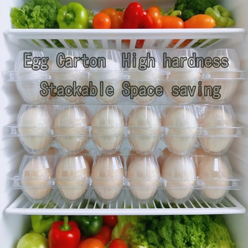 LSGENGXCY 100 piece Disposable Transparent Egg Cartons, 12 Plastic Egg Storage Containers, 2 Rows And 6 Columns of Empty Egg Cartons.2 * 6 (ZF-DH-2 * 6-100-1)
