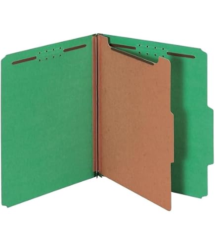 Amazon.com : Blue Summit Supplies Classification Folders, 1