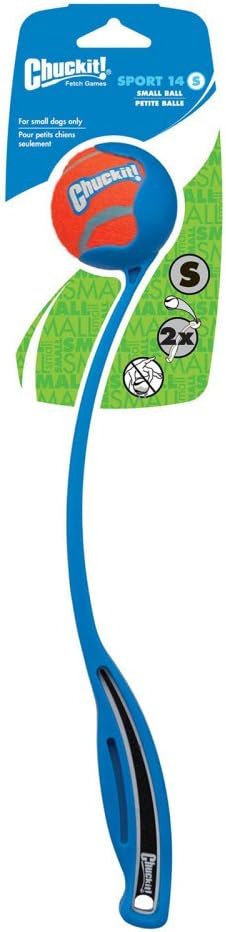 cute teddy whatsapp dp teddy bear