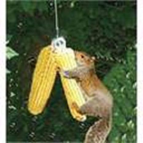 Amazon Com Songbird Essentials Squngee Feeder Bungee Jumper