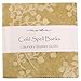 Moda COLD SPELL BATIKS Precut 5-inch Charm Pack Cotton Fabric Quilting Squares Assortment Laundry Basket Quilts 42225PP