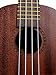 Kala KAA-15C Satin Mahogany Concert Ukulele