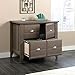 Sauder Shoal Creek File Cabinet, Diamond Ash finish