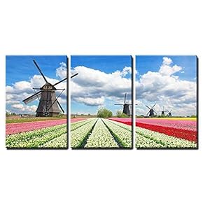 3 Piece Canvas Wall Art - Vibrant Tulips Field with Dutch Windmills, Netherlands. Beautiful Cloudy Sky - Modern Home Art Stretched and Framed Ready to Hang - 16"x24"x3 Panels
