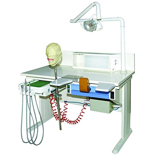 Top 10 Best Dental Lab Equipment Top Reviews No Place Called Home