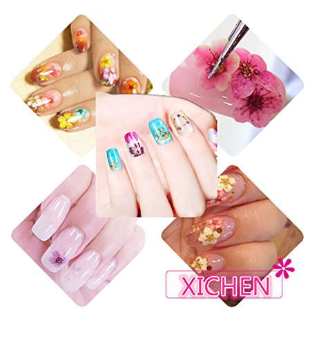 XICHEN Nail Art Accessories 12-color three-dimensional nail dry flowers 36 Starry + 36 five flower+36 Beauty cherry, Zou Ju with leaves