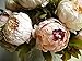 Seasofbeauty European Peony bouquets Decorative Silk Artificial Flowers Home Wedding Furnishing