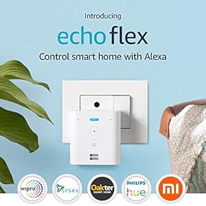 Echo Flex–  Plug-in Echo for smart home control