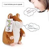 ENTOY Talking Hamster Sound Repeating Animal Toy Talking Plush Toys for Children Brown