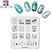 KADS 7 Pcs Nail Art Stamping Plates Flower Butterfly Ocean Star Print Manicure Templates with Stamper