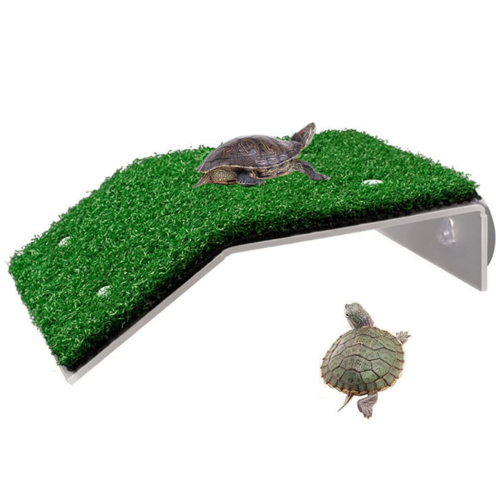 DXUANTING Turtle Basking Platform Tortoise Ramp Climb Ladder Resting Terrace with Suction Cup Fish Tank Aquarium Landscaping Dock Floating Decor for Reptile Frog Terrapin