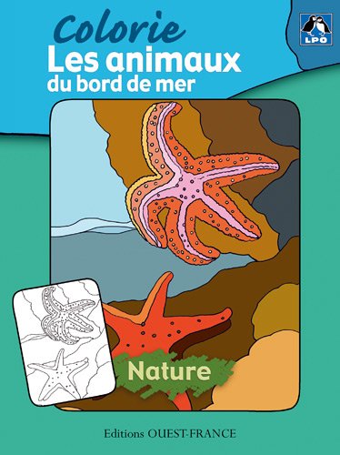 Les  animaux du bord de mer