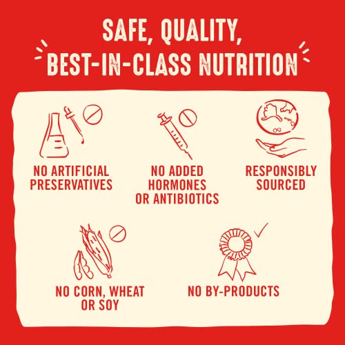 STELLA & CHEWY’S FREEZE DRIED RAW DINNER PATTIES – CRAFTED FOR PUPPIES – GRAIN FREE, PROTEIN RICH PERFECTLY PUPPY BEEF & SALMON RECIPE – 14 OZ BAG