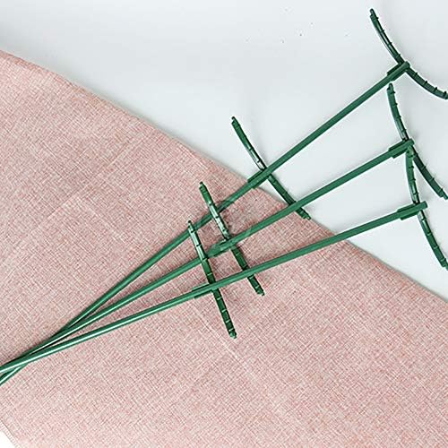 STSERI Anillo de Soporte para Plantas, Soporte de Escalada Jaula ...