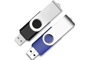Trollastor 32GB USB Flash Drive 2 Pack, USB 2.0 Thumb Drive with LED Indicator, Swivel Metal Design, Portable Memory Stick fo