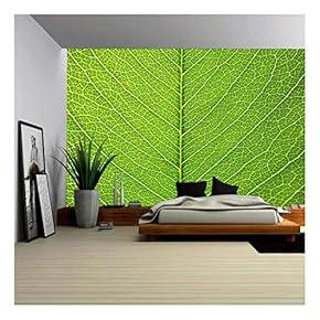 Leaf of a Plant Close Up - Removable Wall Mural | Self-Adhesive Large Wallpaper - 66x96 inches