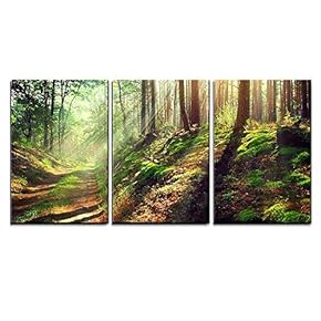 3 Piece Canvas Wall Art - Beautiful Scene of Misty Old Path in Forest on an Sunny Autumn Morning - Modern Home Art Stretched and Framed Ready to Hang - 16"x24"x3 Panels