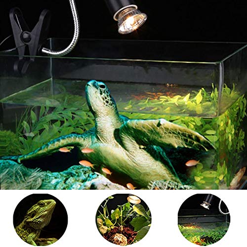 Aquarium Stand,Reptile Lamp Stand for E27 Lamp Holder,Such As Pet UVB