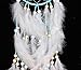 VGIA Dream Catcher Handmade Traditional, With Beads and Feathers