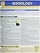 Sociology QuickStudy Laminated Reference Guide (Quick Study Academic)