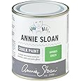 Annie Sloan Chalk Paint® for furniture with no sanding or priming (Antibes Green, 500 ml/16.9 Fl Oz)
