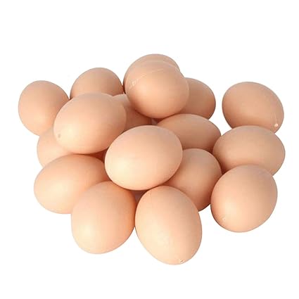 Amazoncom Tnkinuyi Fake Chicken Eggs Nest Egg Dummy Egg