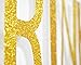 Drink Up Bitches With Champagne Glass Gold Glitter Hanging Sign Banner- Bachelorette, Engagement, Birthday Party, Bridal Shower Hen Night Girls Night Photo Props