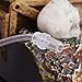 Saim Aquarium Decor Pirate Skeletons & Gold Treasures Air-Driven Action Moving Up-and-Down Skeleton Halloween Aquarium Ornaments