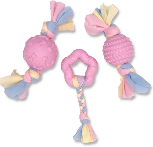 puppy chewing clothes