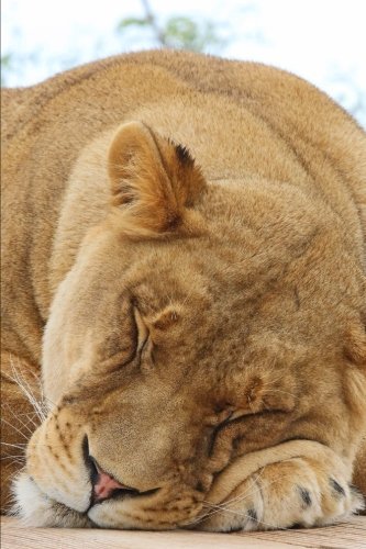 Female Lion Sleeping Journal: 150 page lined notebook/diary