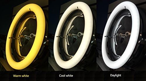 3 in One 12 inch Circline T9 LED directly relamp fluorescent FC12T9 bulb without rewiring
