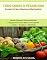 Livro Tudo Sobre o Veganismo: Descubra Por Que é Mais Saudável
