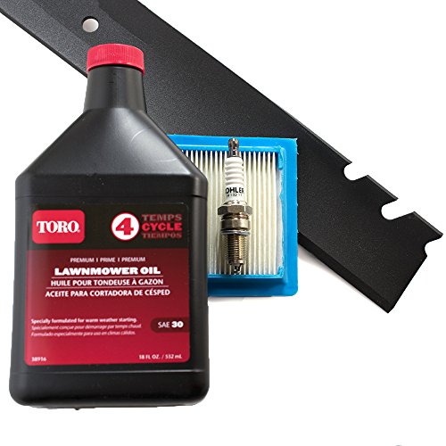 Toro Recycler with Kohler Engine Tune-Up Kit (Serial Number 315000001 and Higher)