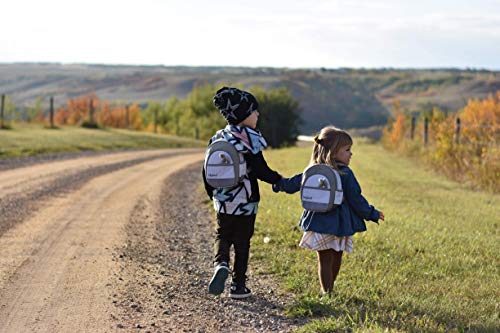 Lulyboo Toddler Safety Harness and Backpack