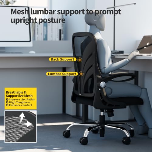 HOLLUDLE Ergonomic Office Chair with Foldable Backrest, Computer Desk Chair with Widened Seat(52 CM), Flip-up Armrests, Mesh Lumbar Support and Tilt Function, Black