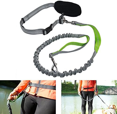 Gerowa Green Hands Free Dog Leash - Dual Handle Running Leash - Shock Absorbing, Extendible Bungee - Adjustable Waist Belt - for Running, Jogging or Walking