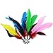 Tacobear 2 Piece Retractable Interactive Teaser Cat Wand 7 Refills Feathers, Cat Feather Toys for Cat