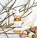 Lifting & Firming Serum 91% Organic DMAE MSM Caffeine Peptides Proven Results! Oil Free VEGAN pH Balanced