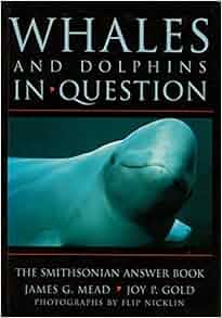 Whales And Dolphins In Question The Smithsonian Answer