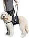 Labra Veterinarian Approved Dog Canine K9 Sling Assist with Chest Strap Adjustable Reflective Straps Support Harness Helps with Loss of Stability Joint Injuries Arthritis ACL Rehabilitation Rehab