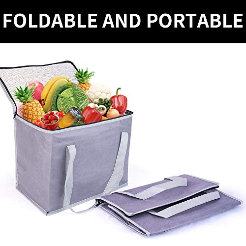 2 Insulated Reusable Grocery Shopping Bags Xl Large Picnic