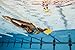 Finis Foil Monofin - Rubber Swimming Fin for Men and Women Swim Flipper to Strengthen Legs and Core - Adult Swim Fin for Swimming and Pool Accessories