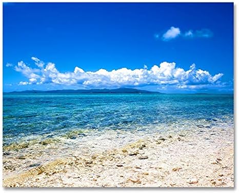 Amazon Co Jp Lb アートパネル ハワイ インテリア パネル 絵 油画 海 綺麗 青空 白雲 自然 風景 景色 壁飾り 雰囲気 背景 子供部屋 心癒し 気分落ち着き 壁掛けアート フレーム付きの完成品 40 30cm 1pcs ホーム キッチン