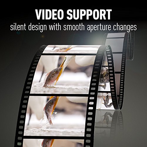 PANASONIC LUMIX G LEICA DG VARIO-ELMARIT PROFESSIONAL LENS, 8-18mm, F2.8-4.0 ASPH., Mirrorless Micro Four Thirds, H-E08018 (USA BLACK). - Panasonic